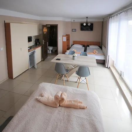 Goscinne U Bozeny Hotel