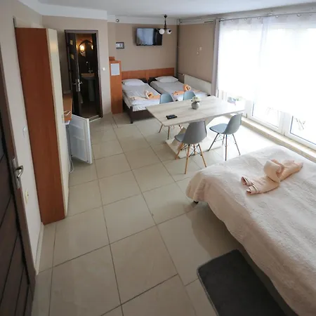 Goscinne U Bozeny Hotel