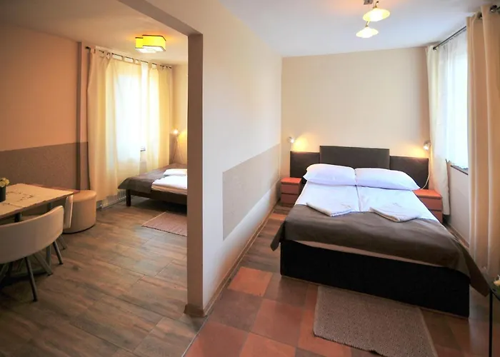 Goscinne U Bozeny Hotel